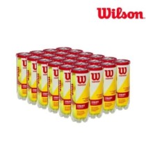 WILSON Champion Drawer 24 Cans B3 | Ipontennis