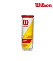 WILSON Championship Barattolo B3 | Ipontennis