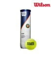 Cajón Wilson Roland Garros All Court 18 latas de 4 | Ipontennis