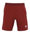 Cardinalrote Shorts Tecnifibre Team | Ipontennis