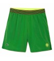 Lacoste Sport Roland Garros Green shorts