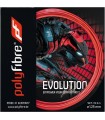 Cuerda Polyfibre Evolution 12m 1