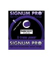 Cuerda Signum Pro Thunderstorm 12m 1