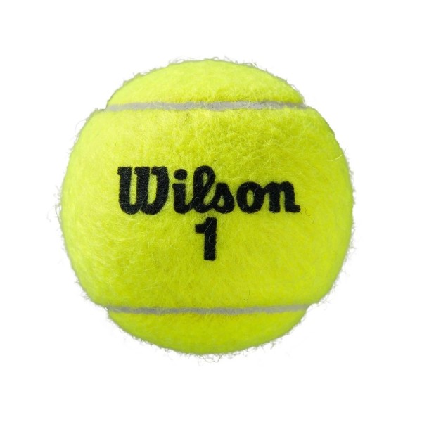 Caixa com 9 latas de bolas Wilson Roland Garros All Court | IPONTENNIS